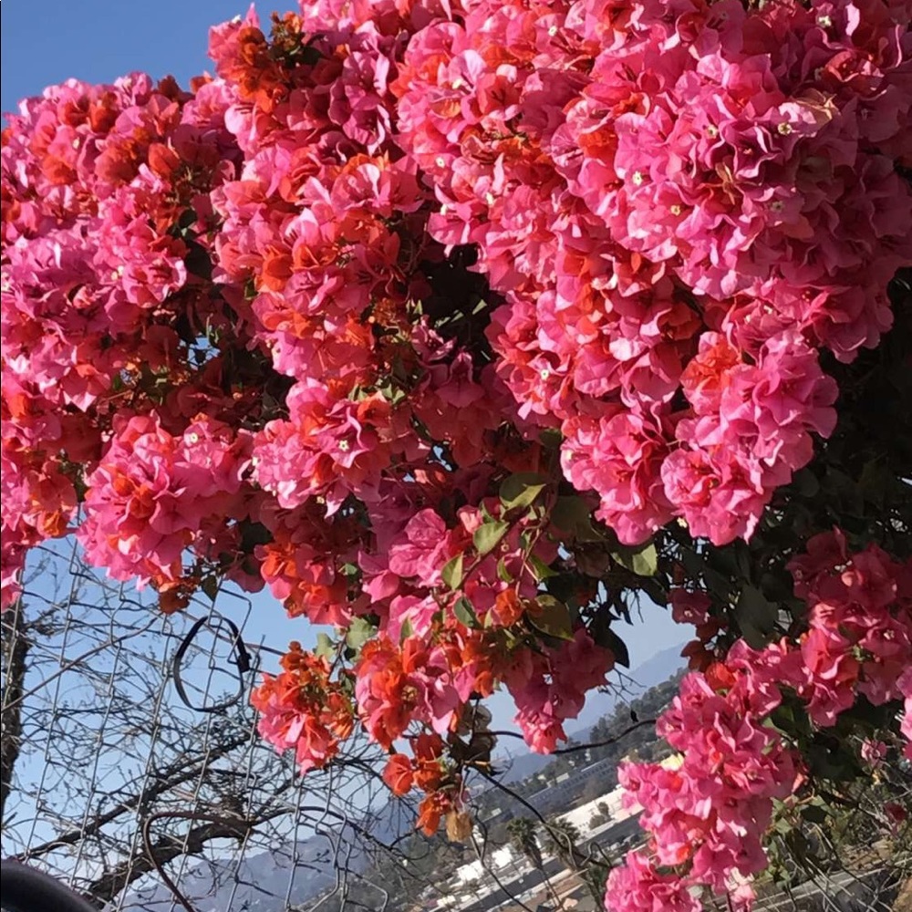 Meet your Posher, Lorena